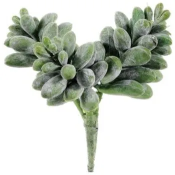 Soft Touch Sedum Pick - 6"